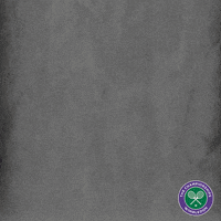 winning grand slam GIF by Wimbledon