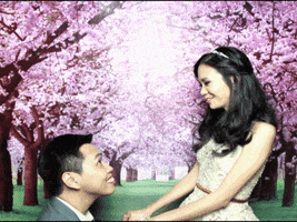 proposal weddingproposal GIF by contactlive