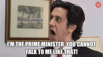 prime minister politics GIF by CBC
