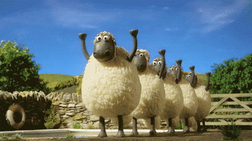 Image result for sheep gif