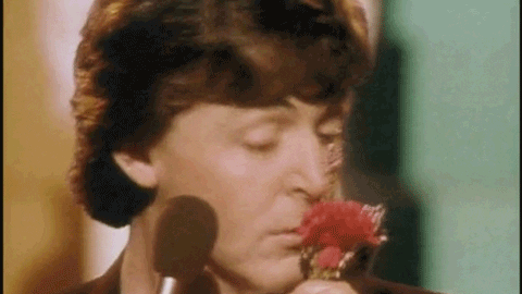 Happy Anniversary Flowers GIF by Paul McCartney - Find & Share on GIPHY