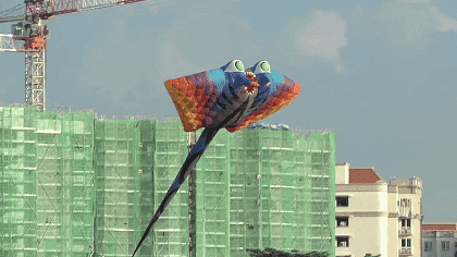 cool kites