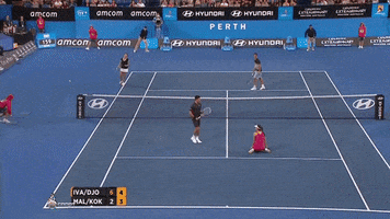 jerrykuonodjsego yes come on ana we did it GIF