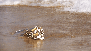 giorgossymeonidis  GIF