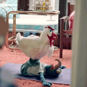 Yoga Chicken GIF by Muppet Wiki (GIF Image)