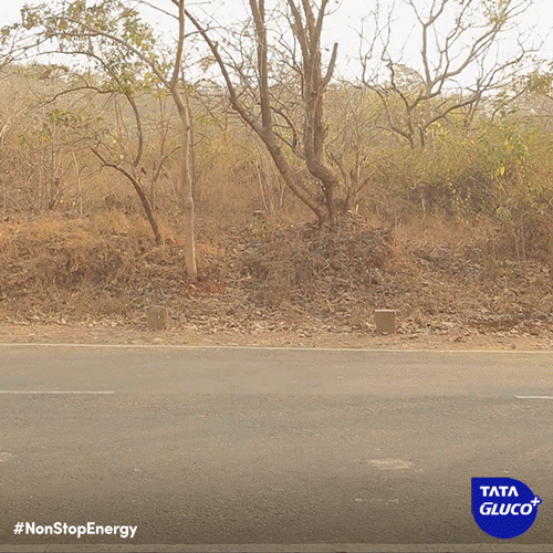 tataglucoplus non stop energy car pushing GIF