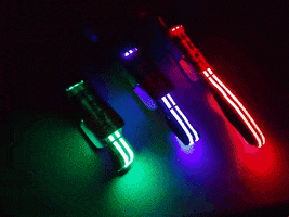 LumiPetsCL lumipets collar led perro collar luminoso perro GIF
