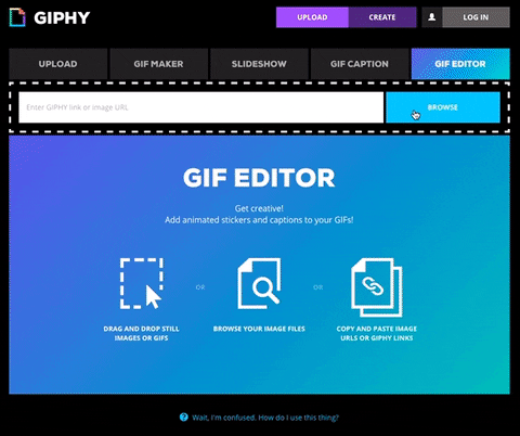 Editor-gifs GIFs - Get the best GIF on GIPHY