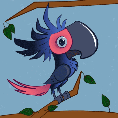 Parrot GIF