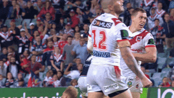 Celebrate Sydney Roosters GIF by Sydney Roosters Football Club