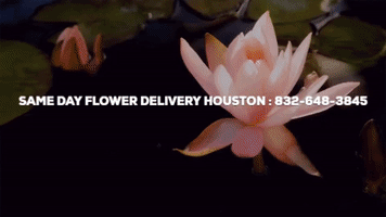 Send Flowers Houston GIF