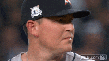 Houston Astros No GIF by MLB