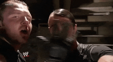cant see me the shield GIF by WWE