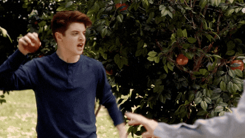 Thomas Barbusca GIFs - Get the best GIF on GIPHY