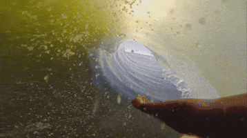 alzheimer surf surfing surfer olas GIF