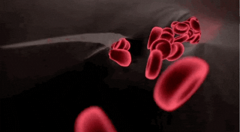 For the first time, lab-grown blood has been transfused into humans!