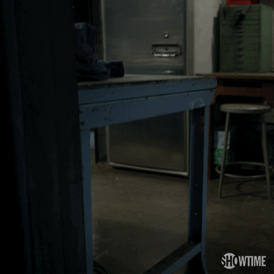 Season 4 Showtime GIF by Shameless Find & Share on GIPHY