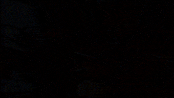 GIF by PRI