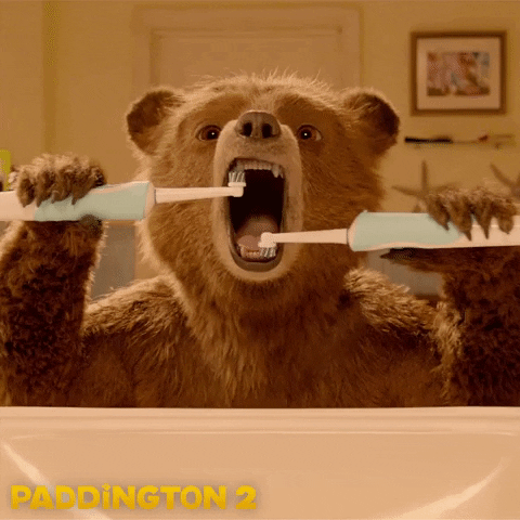 bear brushing teeth