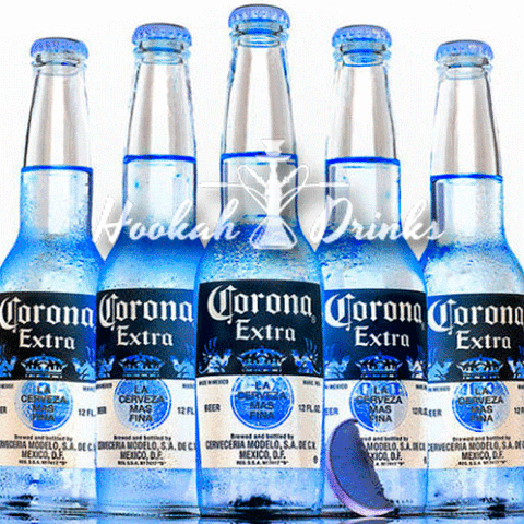 luisafernandaoe domingocoronas GIF
