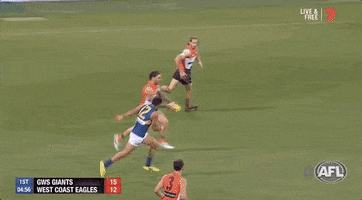 aussie rules finals GIF by AFL