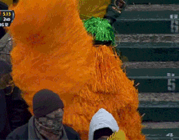 College Football GIF by Baylor University