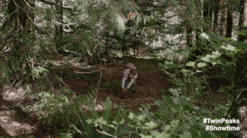 Twin Peaks GIF by Twin Peaks on Showtime