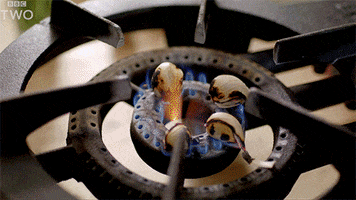 bbc eat cooking bbc cook GIF