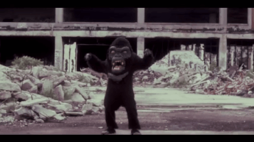 ferpath the black dahlia murder tbdm black dahlia murder GIF