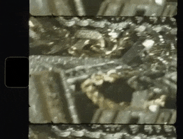 Want Her Music Video GIF by DJ Mustard