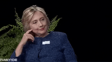 hillary clinton judging you GIF by Election 2016
