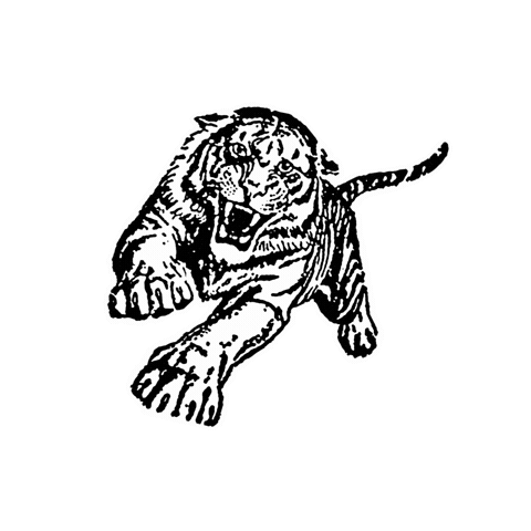 Tiger Sticker by CAFE BAR MOKKA