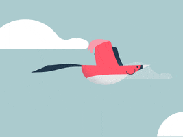 Animation Flying GIF by Oliver Sin