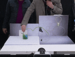 sirqusalfon  GIF