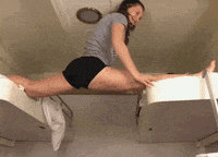 Free-funny GIFs - Get the best GIF on GIPHY Free-funny GIFs - Get the best GIF on GIPHY