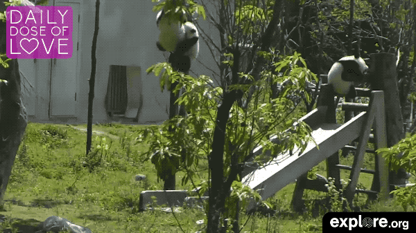 Organic Baby Gifs Get The Best Gif On Giphy
