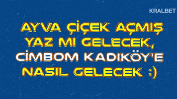 Kadıköy GIF by KralBet