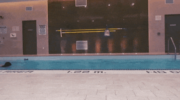much fun summer water exercise GIF