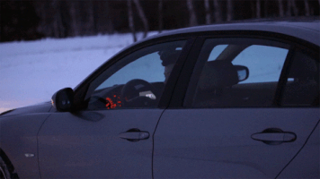 letitiaiordanescu-0322  GIF