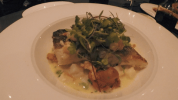 Comida GIF