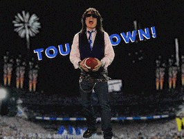 Excited Super Bowl GIF by Tommy Wiseau