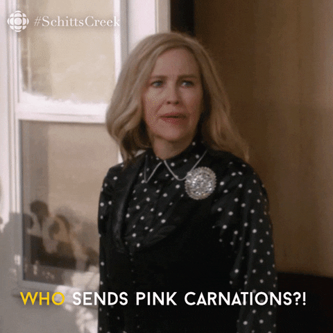 Schitts Creek Pink GIF by CBC