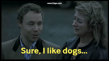 Dogs; #Dags; #Snatch; #Al Capone; #Brad Pitt GIF