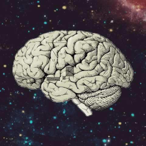 The Universe Brain GIF by Percolate Galactic - Find & Share on GIPHY