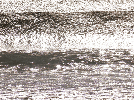 Ours wave sweet ocean sea GIF
