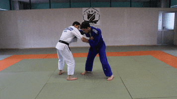 pawegrzegorzzagrodnik judo tomoenage judobytom abcjudo GIF