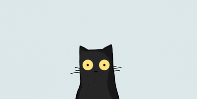 8imedia cat socialmedia creatividad comunicacion GIF
