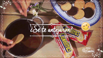 PruebasVectorB chocolate cookies canelitas diario canelitas GIF