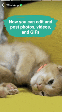 De-mess GIFs - Get the best GIF on GIPHY