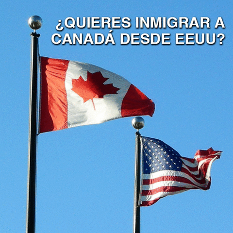 jean-pierreibanez  GIF